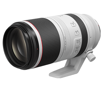 CANON RF 100-500MM F/4.5-7.1L IS USM LENS