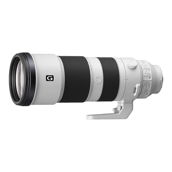 Sony 200-600mm F5.6-6.3